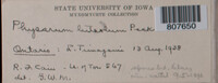 Image Associated With the Occurence